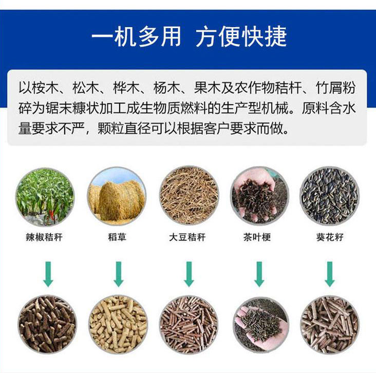 shengwuzhi2.jpg